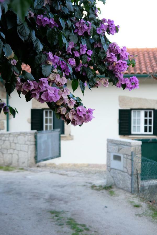 Villa Casa Velha Paradamonte Esterno foto