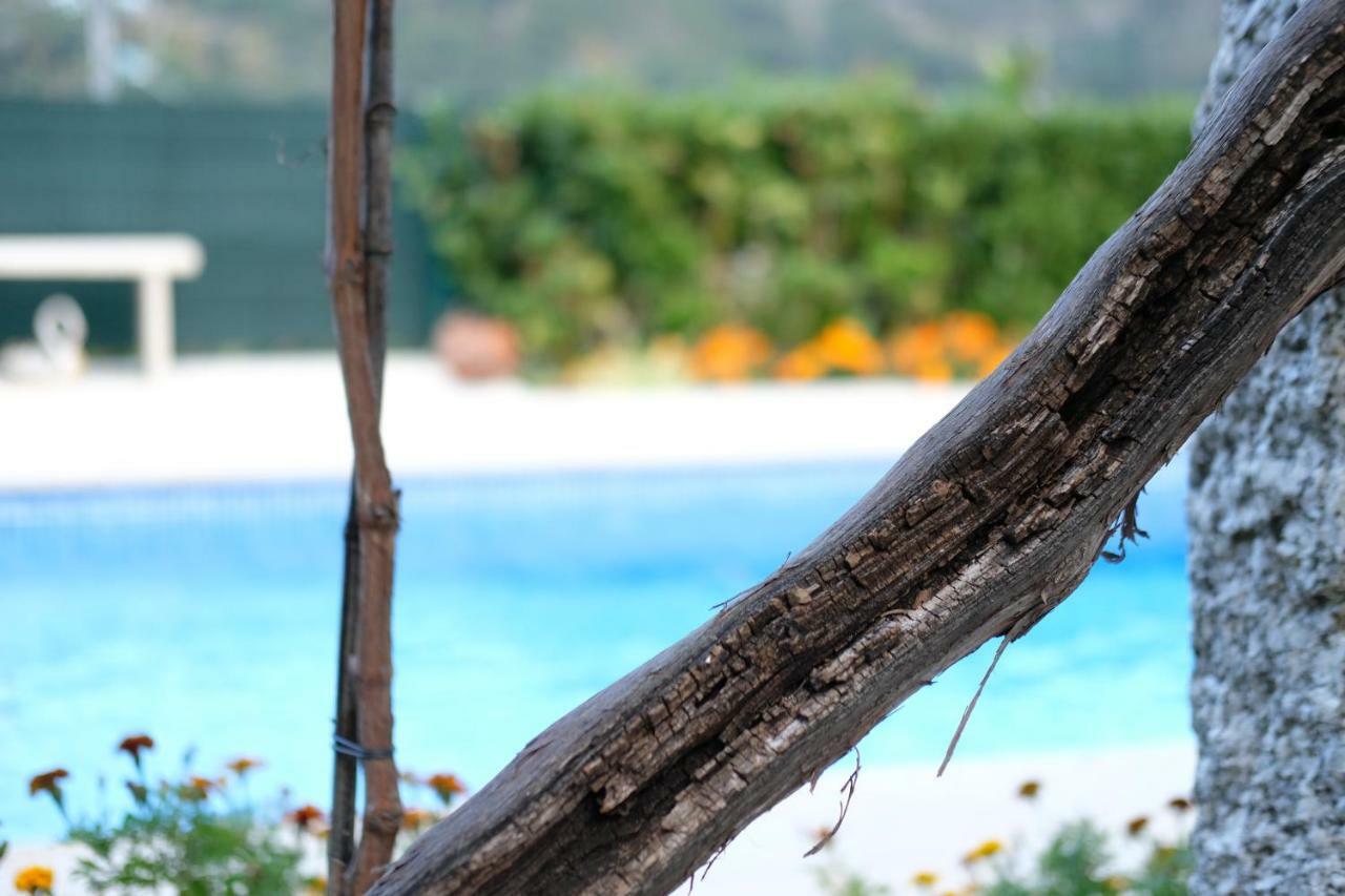 Villa Casa Velha Paradamonte Esterno foto