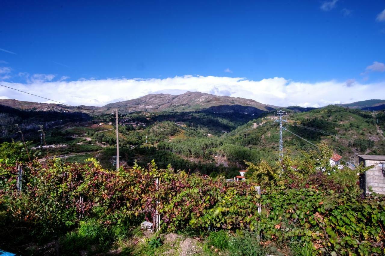 Villa Casa Velha Paradamonte Esterno foto